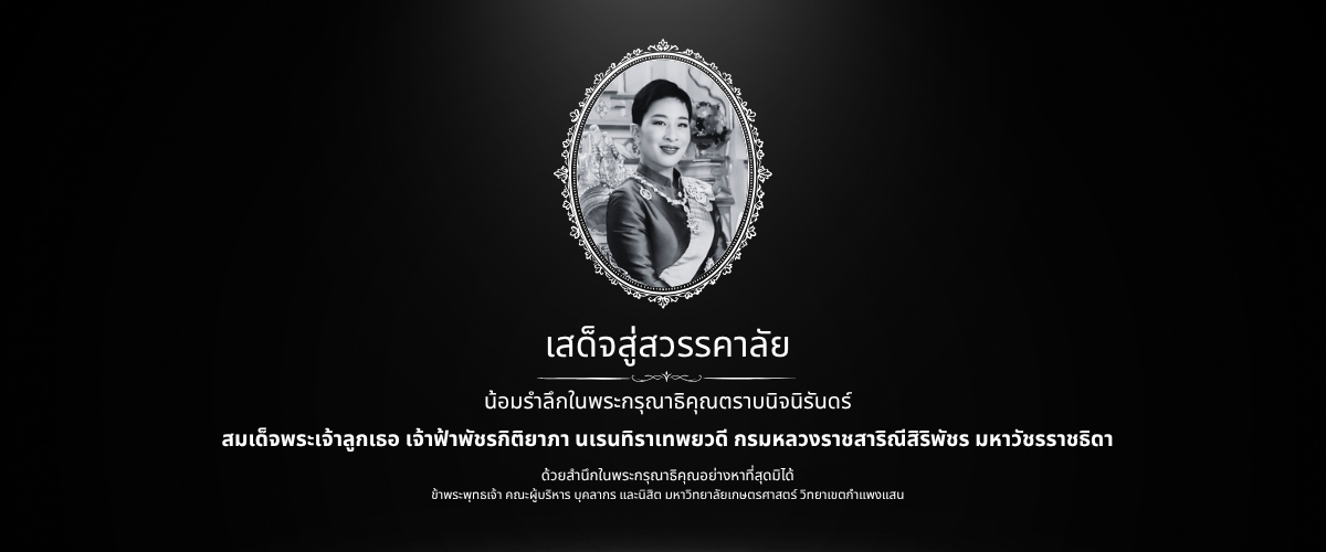 In Remembrance Of HRH Princess Bajrakitiyabha