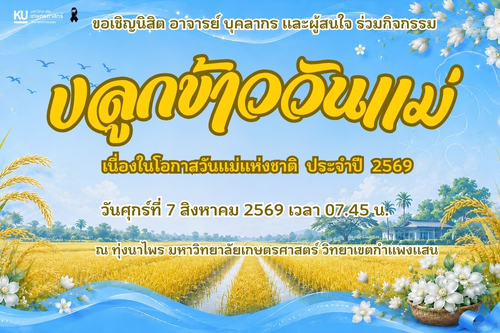 มก.กำแพงแสน ขอเชิญร่วมกิจกรรมปลูกข้าววันแม่ ประจำปี 2569
