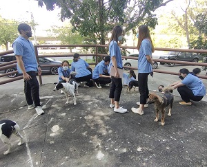 งานรักษาความปลอดภัย นำส่งสุนัขที่กักกันไว้ ใช้สำหรับการเรียนวิชา Clinical procedure in small animal ของนิสิตคณะสัตวแพทย์ฯ